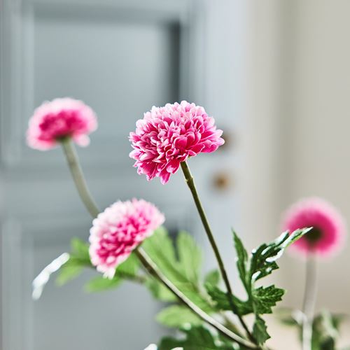 IKEA - SMYCKA, artificial flower, pink, 75 cm