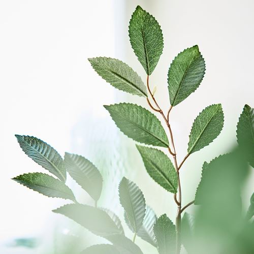 IKEA - SMYCKA, artificial flower, green, 67 cm