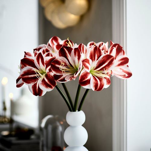IKEA - VINTERFINT, yapay çiçek, kırmızı-beyaz, 60 cm