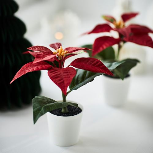 IKEA - VINTERFINT, artificial plant, red, 6 cm