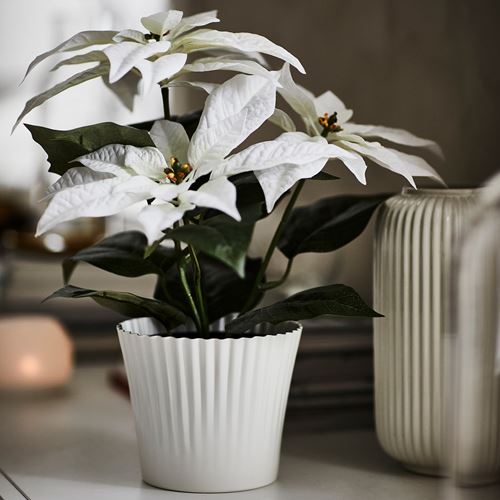 IKEA - VINTERFINT, artificial plant, white, 12 cm