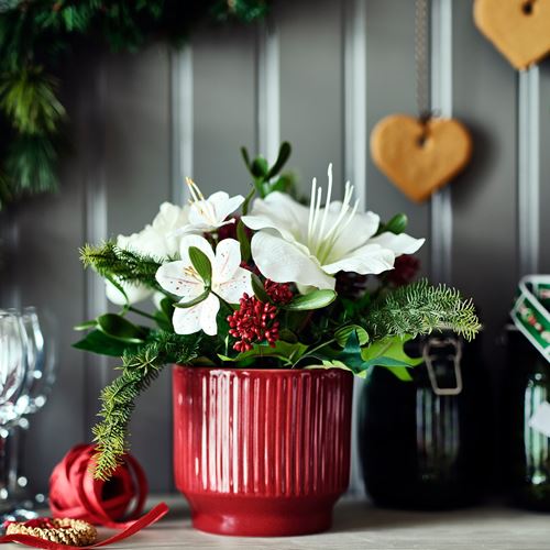 IKEA - VINTERFINT, artificial plant, white, 12 cm