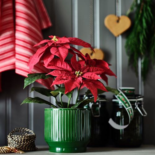 IKEA - VINTERFINT, seramik saksı, yeşil, 12 cm