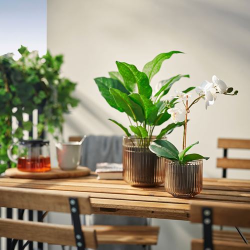 IKEA - GRADVIS, cam saksı, açık kahverengi, 9 cm