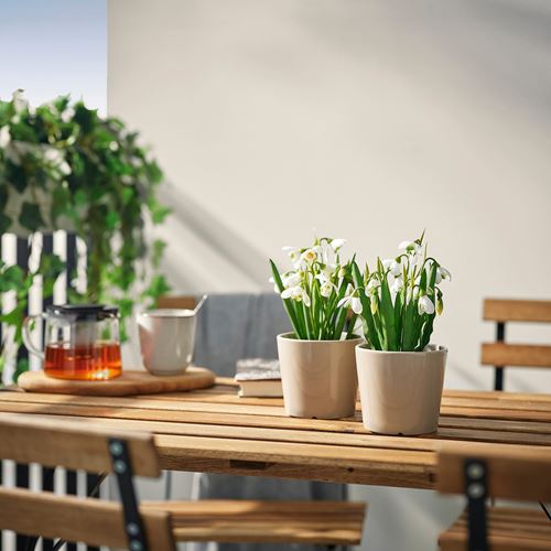 IKEA - FEJKA, artificial plant, green/white, 9 cm