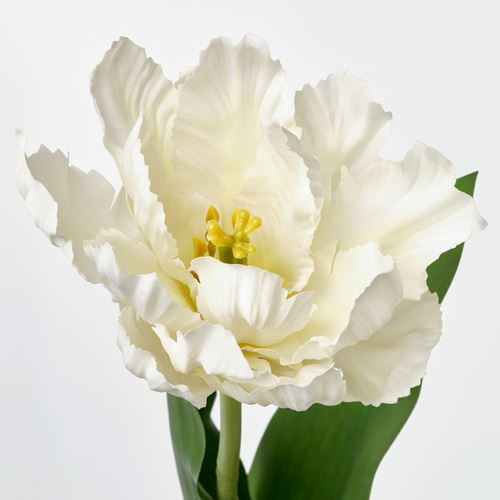 IKEA - SMYCKA, artificial flower, multicolour, 50 cm