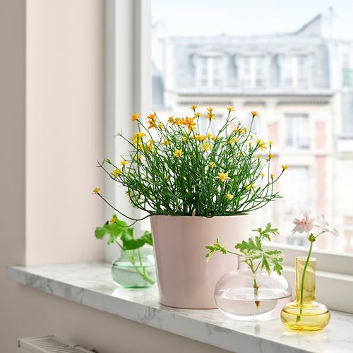 IKEA - FEJKA, yapay bitki, yeşil, 9 cm