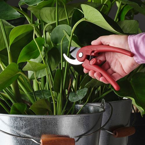 IKEA - BRYTBÖNA, budama makası, parlak kırmızı, 19 cm