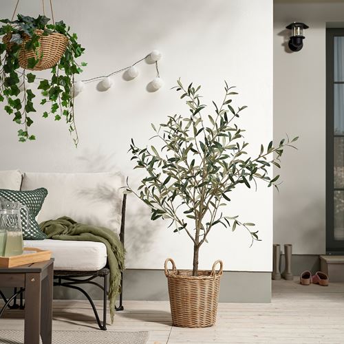 IKEA - FLODBJÖRK, plastik saksı, kahverengi, 24 cm