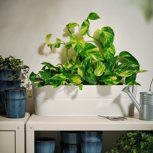 IKEA - VITLÖK, plant stand, off white, 56x20 cm