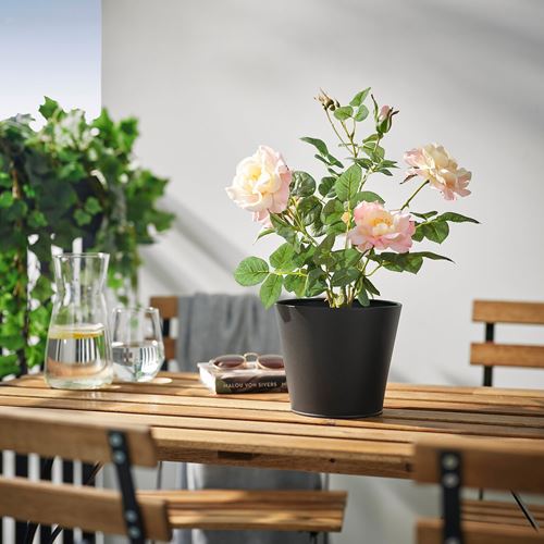 IKEA - VITLÖK, çiçeklik, antrasit, 15 cm