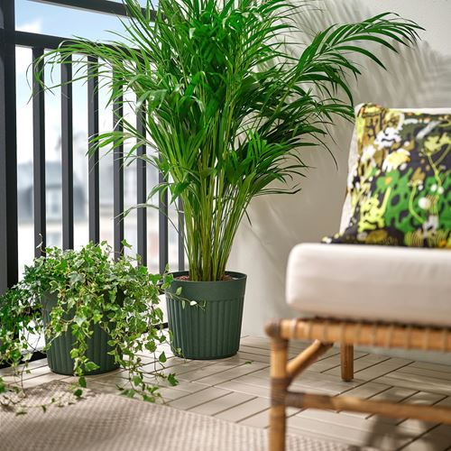 IKEA - FRAKENVAXT, alüminyum saksı, parlak koyu yeşil, 24 cm