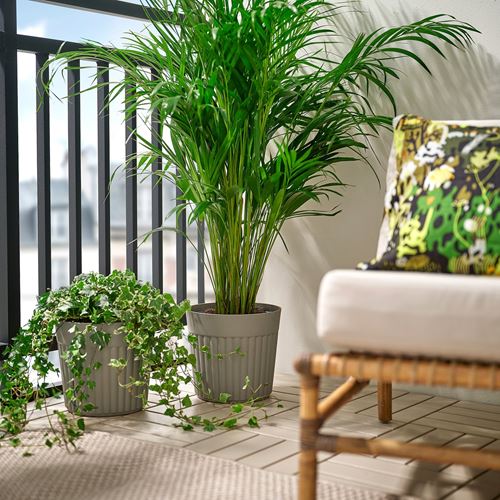 IKEA - FRAKENVAXT, aluminum pot, dark grey/beige, 24 cm