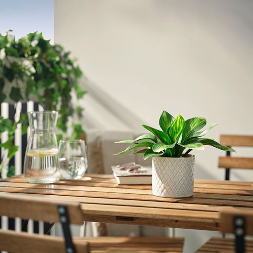 IKEA - FEJKA, yapay bitki, yeşil, 9 cm