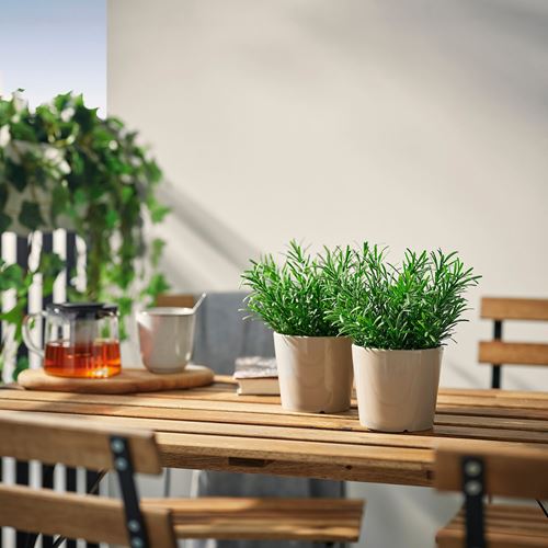 IKEA - FEJKA, yapay bitki, yeşil, 9 cm