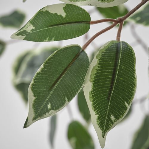 IKEA - FEJKA, yapay bitki, yeşil, 23 cm