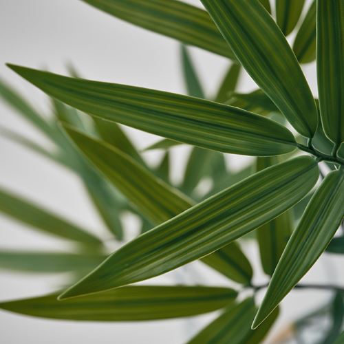 IKEA - FEJKA, artificial plant, green, 21 cm