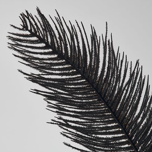 IKEA - SMYCKA, artificial flower, black, 65 cm