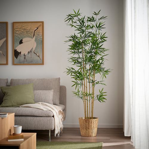 IKEA - FEJKA, artificial plant, green, 21 cm