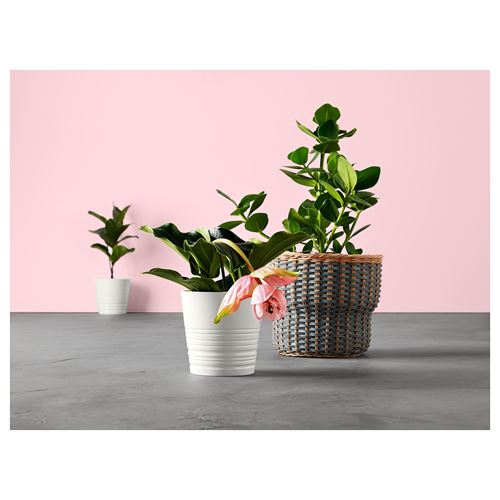 IKEA - MUSKOT, toprak saksı, beyaz, 15 cm