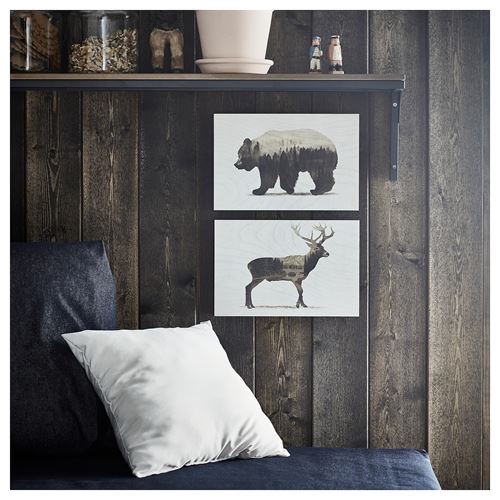 IKEA - BJÖRNAMO, picture, brown, 30x20 cm