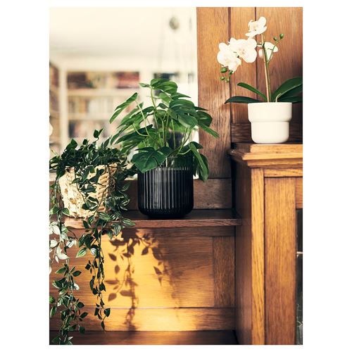 IKEA - FEJKA, artificial plant, green, 12 cm