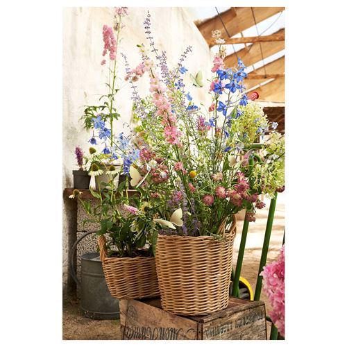 IKEA - FLODBJÖRK, plastik saksı, kahverengi, 24 cm