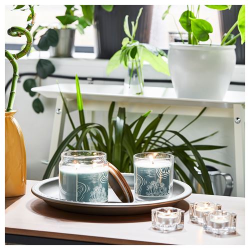 IKEA - BUKETTAPEL, scented candle in glass, pale green, 70 hr