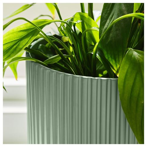 IKEA - DAKSJUS, earthenware plant pot, green