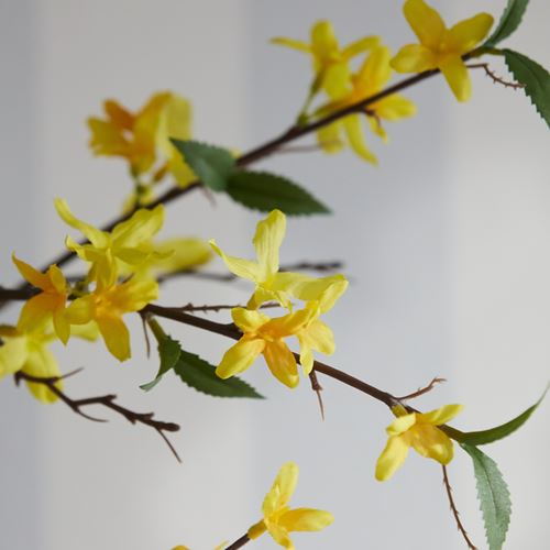 IKEA - SMYCKA, artificial flower, forsythia yellow, 70 cm