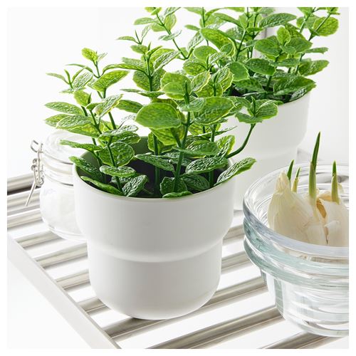 IKEA - FEJKA, yapay bitki, yeşil, 9 cm